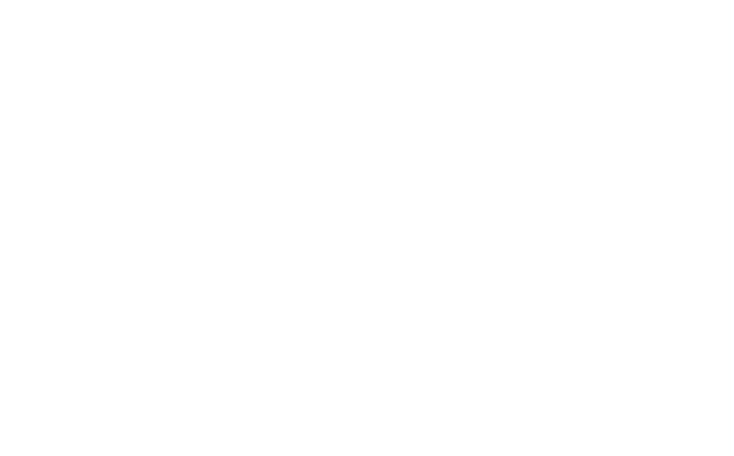 APZ Corp
