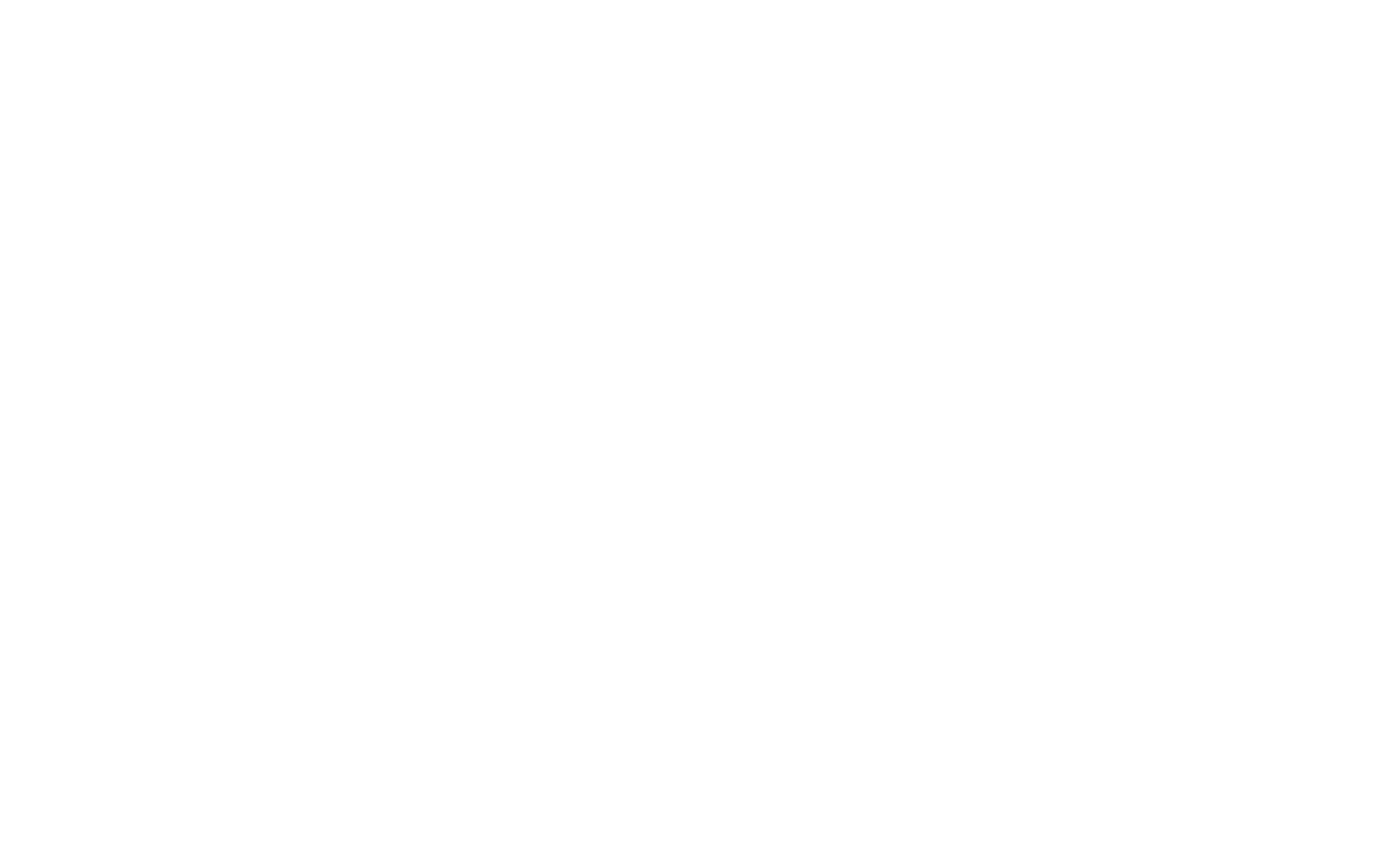 Señor Genio
